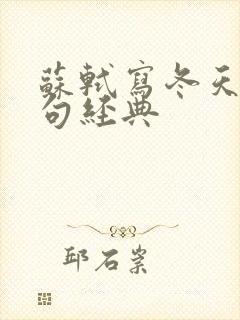 苏轼写冬天的诗句经典