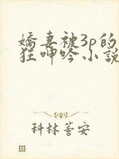 娇妻被3p的疯狂呻吟小说