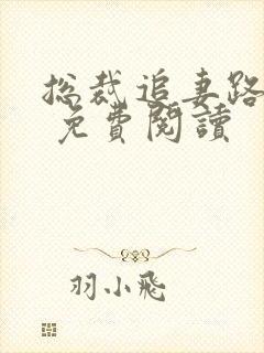 总裁追妻路漫漫 免费阅读