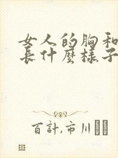 女人的胸和屁股长什么样子?