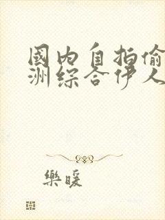 国内自拍偷区亚洲综合伊人