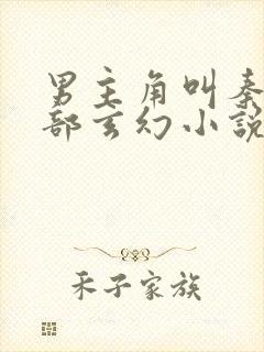 男主角叫秦风全部玄幻小说