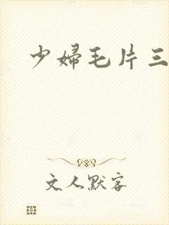 少妇毛片三区