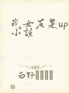 我女友是up主小说
