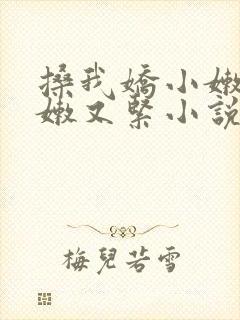 搡我娇小嫩苞又嫩又紧小说