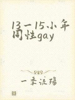 13一15小年同性gay