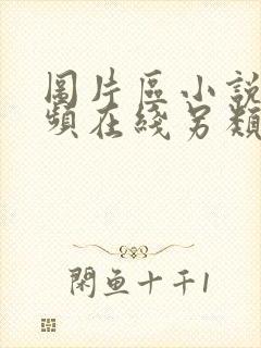 图片区小说区视频在线另类