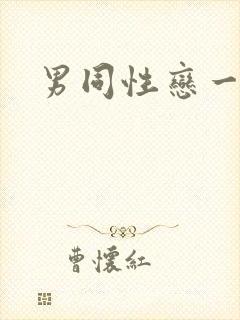 男同性恋一起操封面