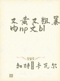 又黄又粗暴的纯肉np文bl封面