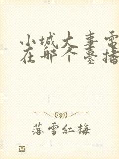 小城大事电视剧在哪个台播放