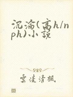 沉沦(高h/nph)小说