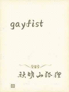gayfist封面