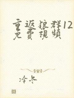 重返狼群12集免费视频