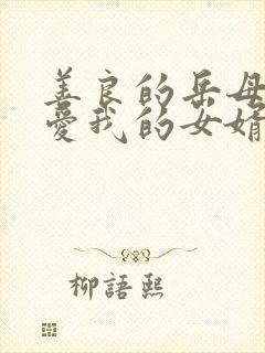 善良的岳母:我爱我的女婿封面