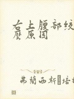 右上腹部绞痛什么原因