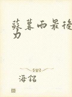 苏暮雨最后的实力