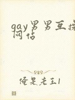 gay男男互操网站