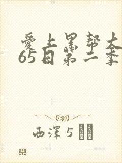 爱上黑帮大佬365日第二季