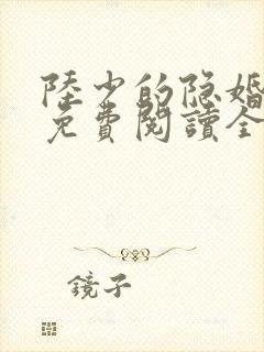 陆少的隐婚罪妻免费阅读全文