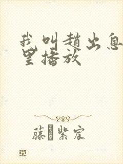 我叫赵出息在哪里播放