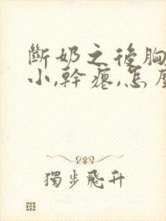 断奶之后胸部变小,干瘪,怎么恢复