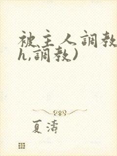 被主人调教(高h,调教)