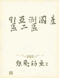 91亚洲国产一区二区