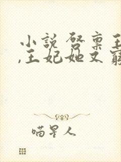 小说 启禀王爷,王妃她又穷疯了