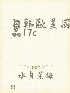 日韩欧美国产精品17c
