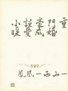 小说豪门重生之暖爱成婚