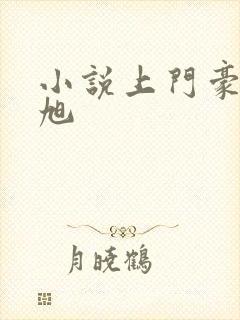 小说上门豪婿赵旭