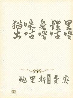 猫咪身体里面发出咕噜咕噜的声音