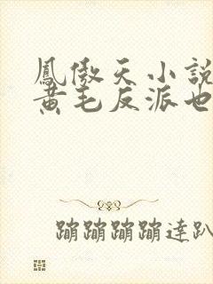 凤傲天小说里的黄毛反派也想幸福》