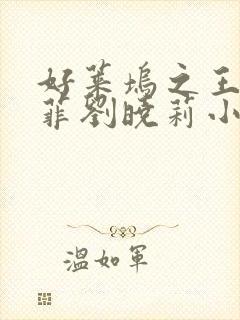 好莱坞之王刘亦菲刘晓莉小说封面