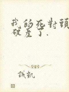 我的死对头终于破产了.