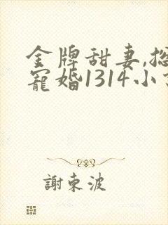 金牌甜妻,总裁宠婚1314小说封面