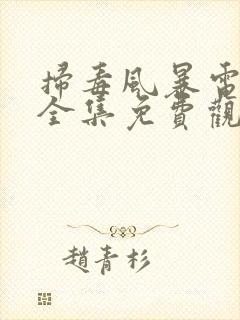 扫毒风暴电视剧全集免费观看