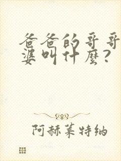 爸爸的哥哥的老婆叫什么?