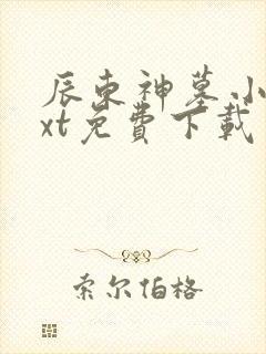 辰东神墓小说txt免费下载封面