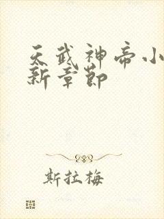 天武神帝小说最新章节