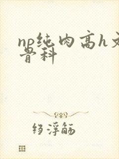 np纯肉高h文骨科