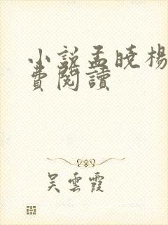 小说孟晓杨易免费阅读