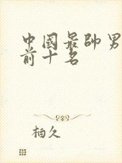 中国最帅男演员前十名封面