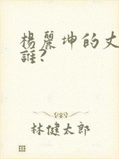 杨丽坤的丈夫是谁?