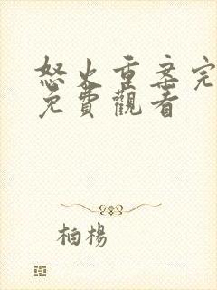 怒火重案完整版免费观看封面