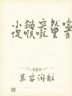 小猫突然喘气急促喉咙里有声音