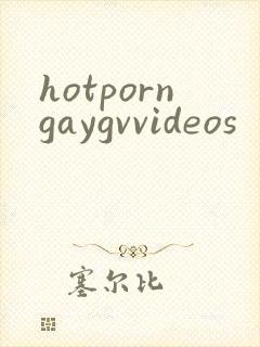 hotporngaygvvideos