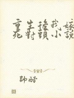 重生后我嫁给了死对头小说