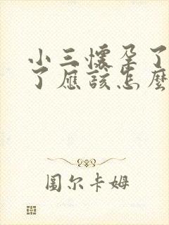 小三怀孕了打掉了应该怎么赔偿