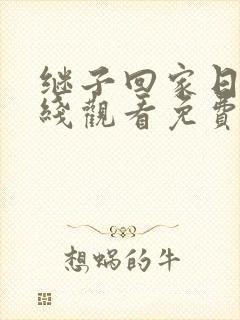 继子回家日剧在线观看免费高清版下